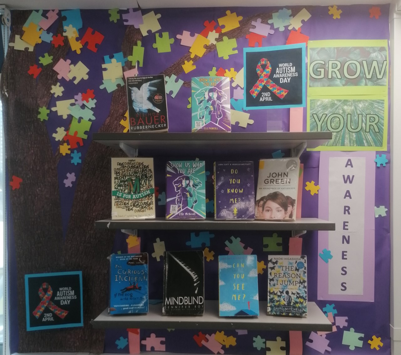 Autism Library Display The Library - Fairfield High School